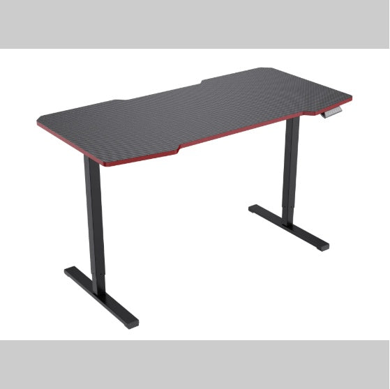 Electric Standing Desk Whole Piece Adjustable Height Desk Home Office Computer Workstation Sit Stand Up Desk